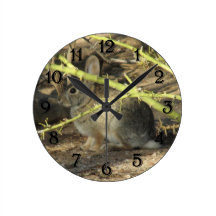 Cottontail Rabbit Clock