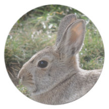 Cottontail Rabbit Dinner Plates