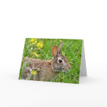 Cottontail Rabbit Notecard