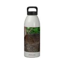 Cottontail Rabbit Reusable Water Bottles