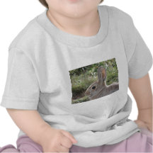 Cottontail Rabbit Tees