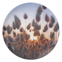 Cottontails summer grasses plate