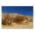 Cottonwood Cove cards