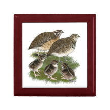 Coturnix Quail Family Keepsake Box