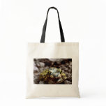 Couch's Spadefoot Toad bags