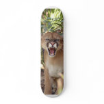 Cougar 001 skateboards