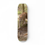 Cougar 007 custom skateboard