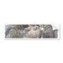 COUGAR ATTACK BUMPER STICKER