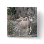 COUGAR ATTACK BUTTONS
