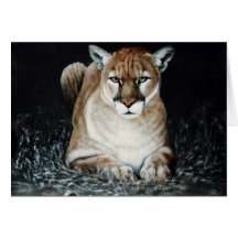 Cougar Cards