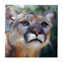 Cougar Ceramic Tiles