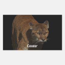 Cougar Mountain Lion Big Cat Wildlife Stickers