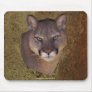 COUGAR Mountain Lion Wildlife Mousepad