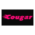 Cougar photo cards