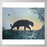 Cougar Posters