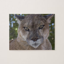 Cougar Pounce Puzzle