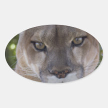 Cougar Pounce Stickers