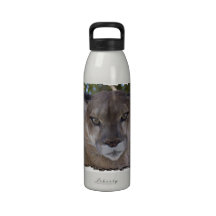 Cougar Pounce Water Bottle