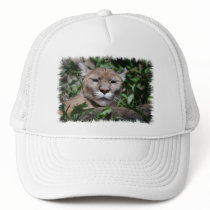 Cougar Predator Baseball Hat