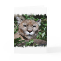 Cougar Predator Greeting Card