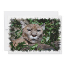 Cougar Predator Invitation