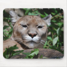 Cougar Predator Mouse Pad