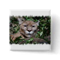 Cougar Predator Square Button