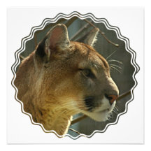 Cougar Puma Invitation