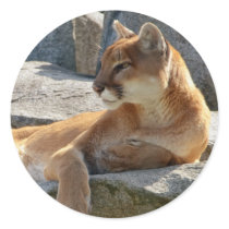 Cougar Round Sticker