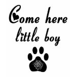 Cougar Saying: Come Here Little Boy t-shirts