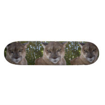 Cougar Skateboard