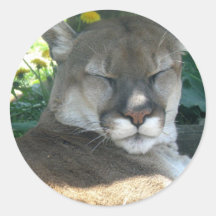 Cougar Sticker