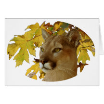 COUGAR UNDER MAPLE CARD