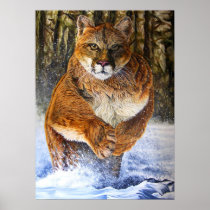 couger leap print