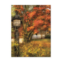 Country - Autumn Light