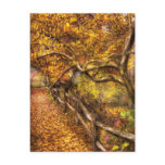 Country - Country road side Postcards
