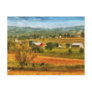 Country - Cows Grazing Post Cards