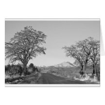 Country Drive Longs Peak View BW Card