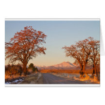 Country Drive Longs Peak View Cards
