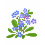 Country Forget Me Nots t-shirts