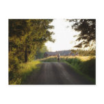 Country Girl postcards