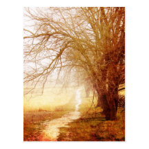 Country Lane Postcard