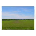 Country living blue skies crops in field art photo greeting card