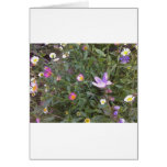 Country Meadow Greeting Cards