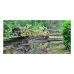 Country - Old log fence photo cards