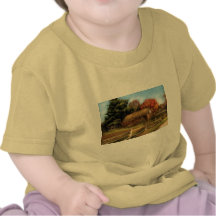 Country - Our Cabin T Shirt