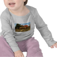 Country - Our Cabin Tshirt