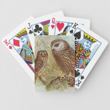Country Owl's Playing Cards