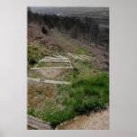 Country Path posters