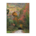 Country Road in Autumn postcards